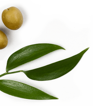 Schneid- und Servierbrett - Olive - Pisa Gr. 2. - Mulex %